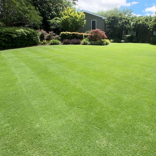 Well-cared backyard with a manicured lawn.
