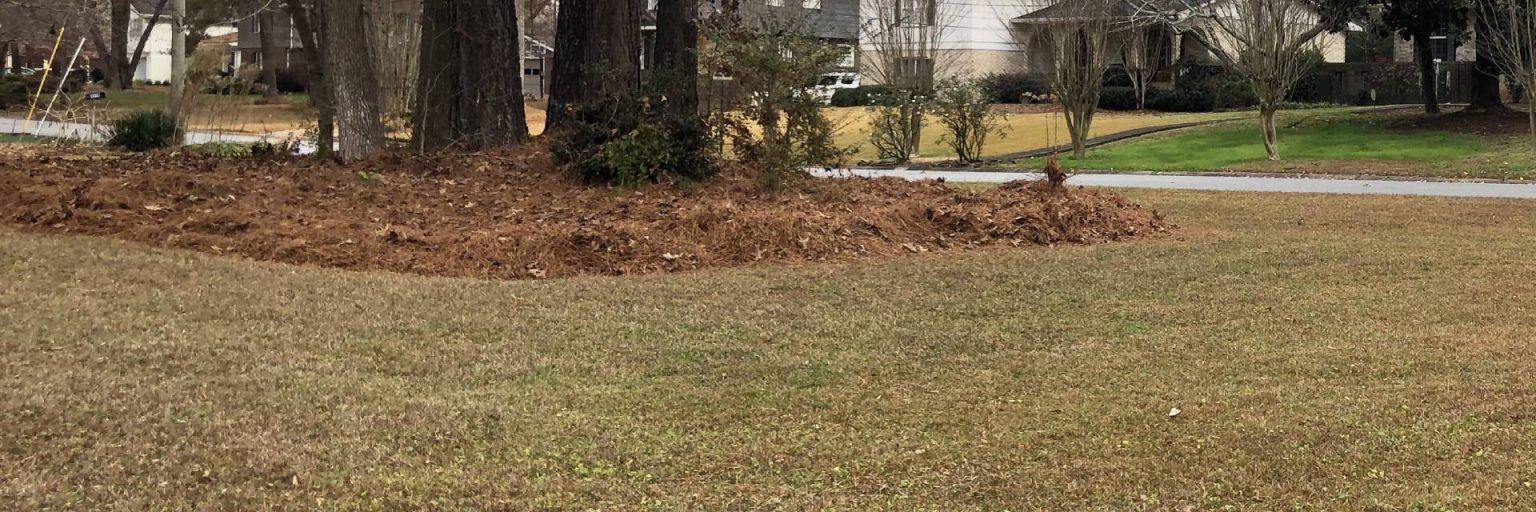 Dunwoody GA Landscapers, Landscaping Company Woodburn Landscapes