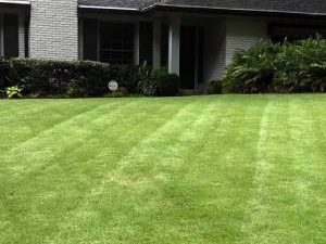 Woodburn Landscapes Professional Lawn Care and Maintenance Service