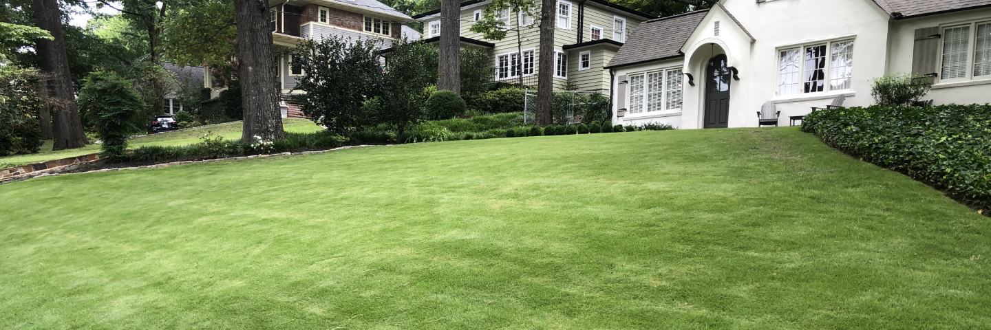 What Does Professional Lawn Care Include? Atlanta, GA