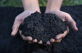close up of man hands holding soil
