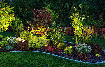 Illuminated Garden by LED Lighting