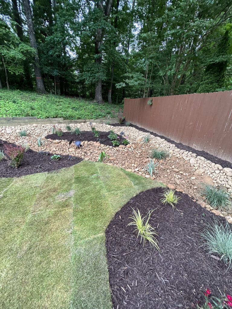 A landscaped backyard with fresh sod, mulched plant beds, a dry creek bed of rocks, and a brown wooden fence, bordered by a wooded area.