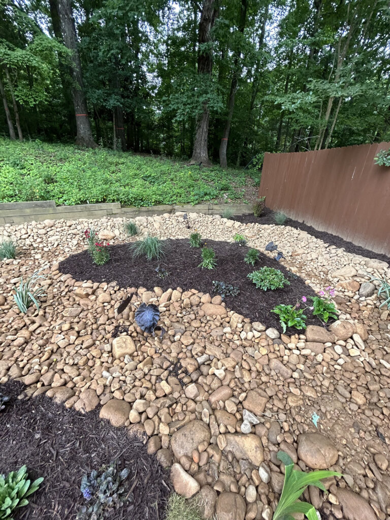 A landscaped garden area with mulch, scattered plants, and rocks bordered by a wooden fence, backed by a wooded area.