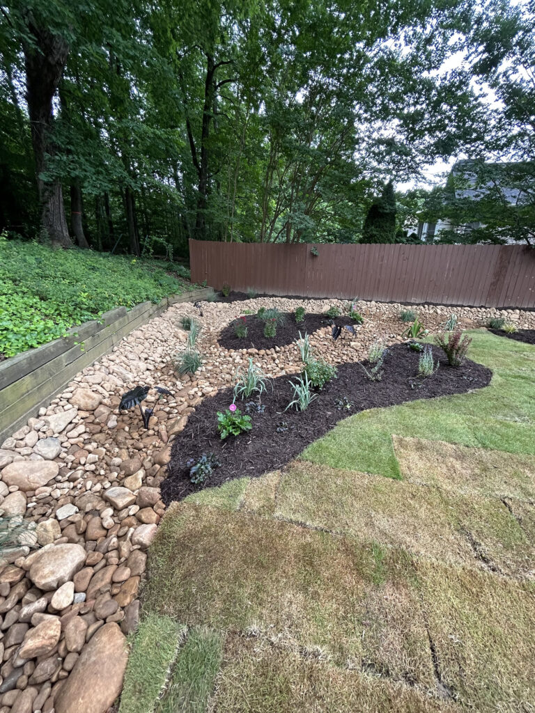 A landscaped backyard with a dry creek bed of rocks, mulch beds with young plants, and patchy sod, bordered by a wooden fence and trees.