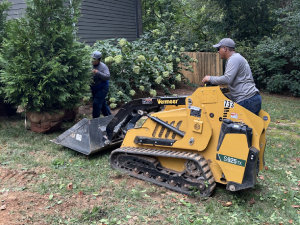 Two workers use a small yellow skid steer loader to move a large shrub in a residential yard.