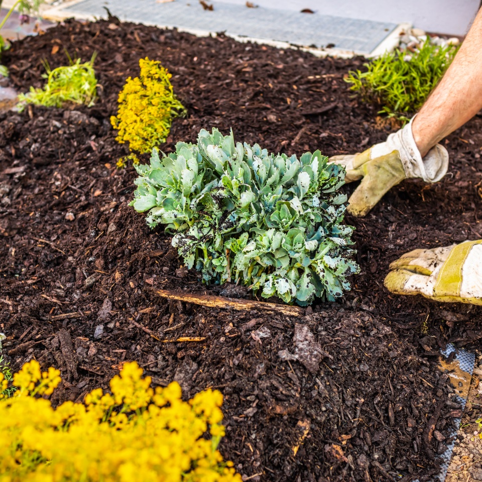 Installing weed control fabric material and bark mulch in a residential garden to control weed spreading
