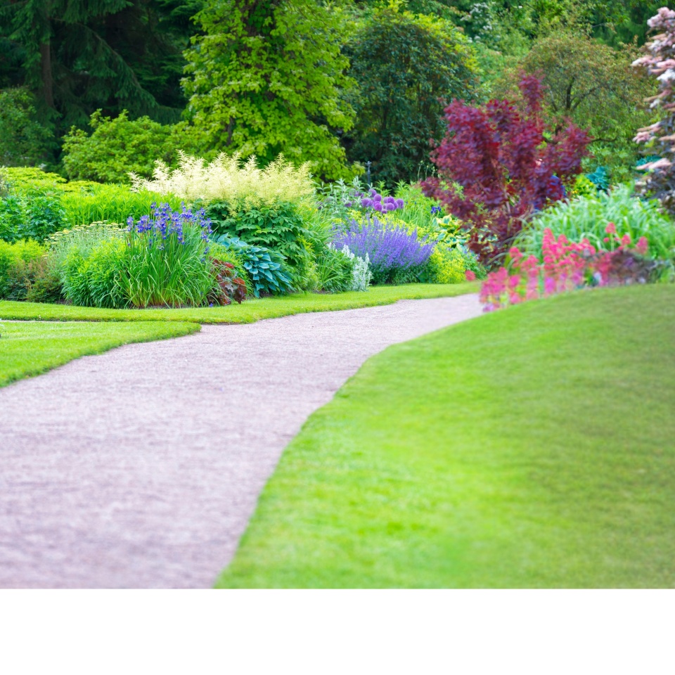 Garden Path in a Lush Green , Stone Path through a Beautiful , Landscaped , Summer , Park, Nature, Outdoors, Tranquil Scene, Scenic View,