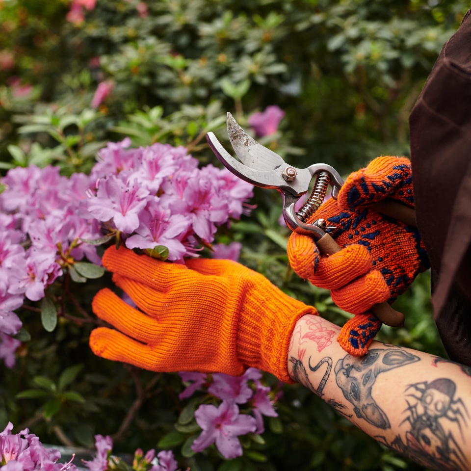 In a vibrant greenhouse, a young woman carefully prunes flowers, showing her passion.