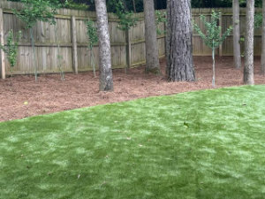 A backyard with artificial grass in the foreground, several trees, pine straw mulch, and a wooden fence in the background.